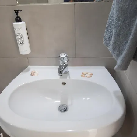 Pavlinia & 4*