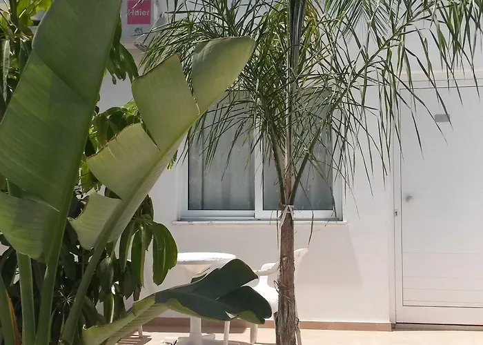 Pavlinia & Apartahotel